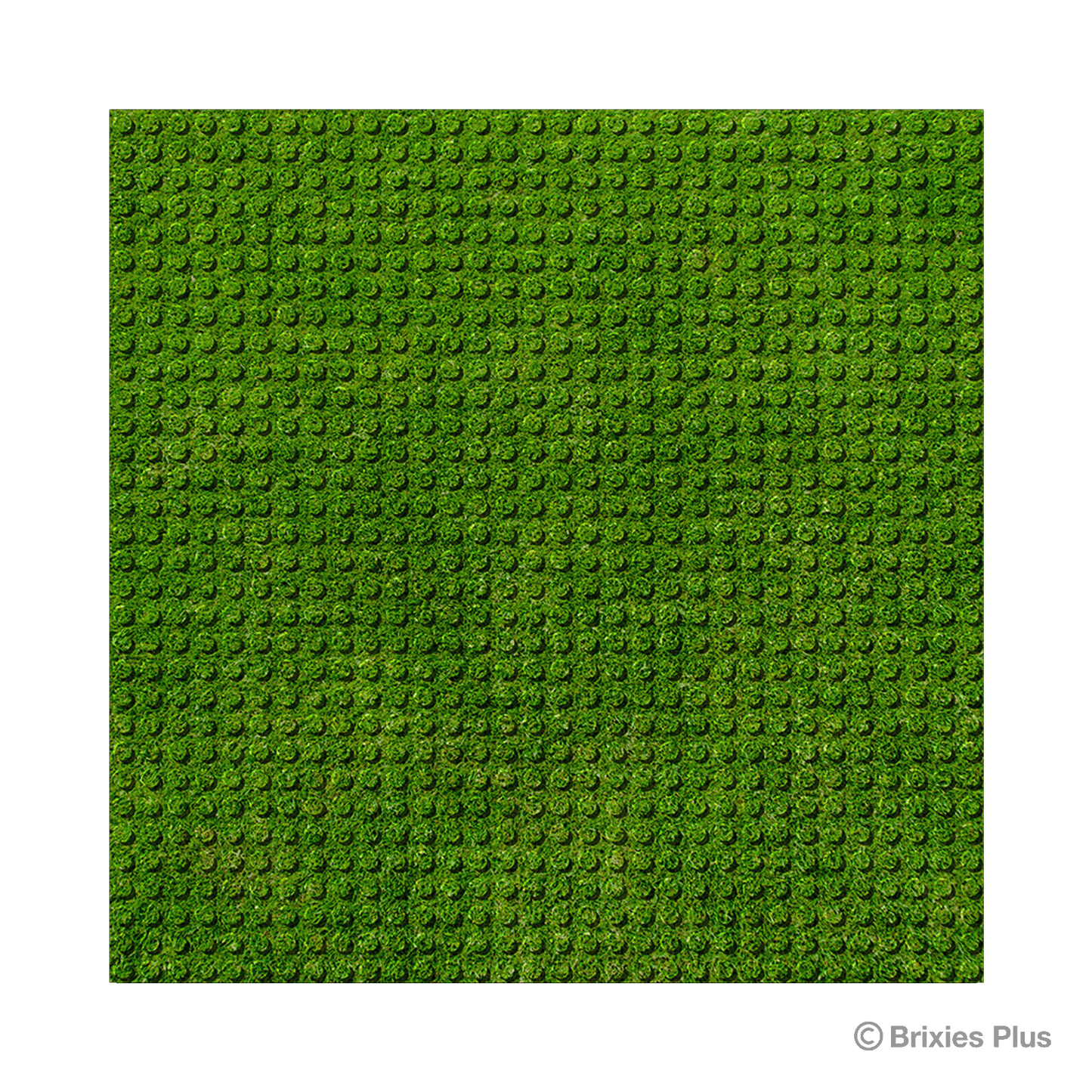 BRIXIES Plus Designer Platte Rasen 32 x 32 Noppen