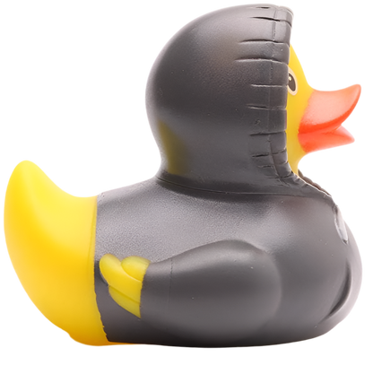 Canard Sweat à Capuche - Gris