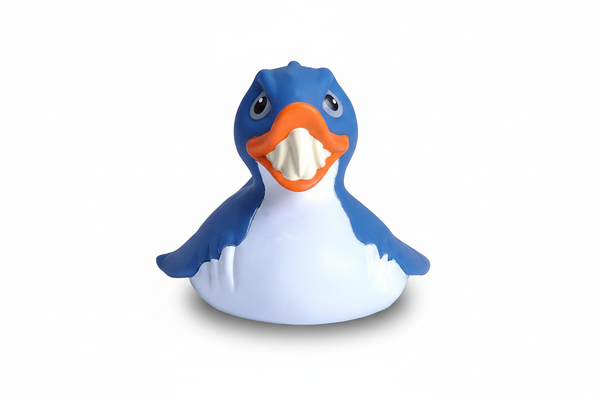 Canard Requin