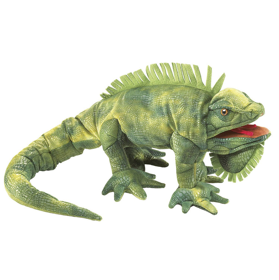 Iguane vert