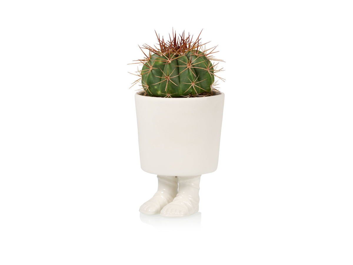 Pot de Fleur Sandale Gladiateur – Grand