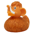Canard Mammouth