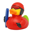 Canard Snowboardeur