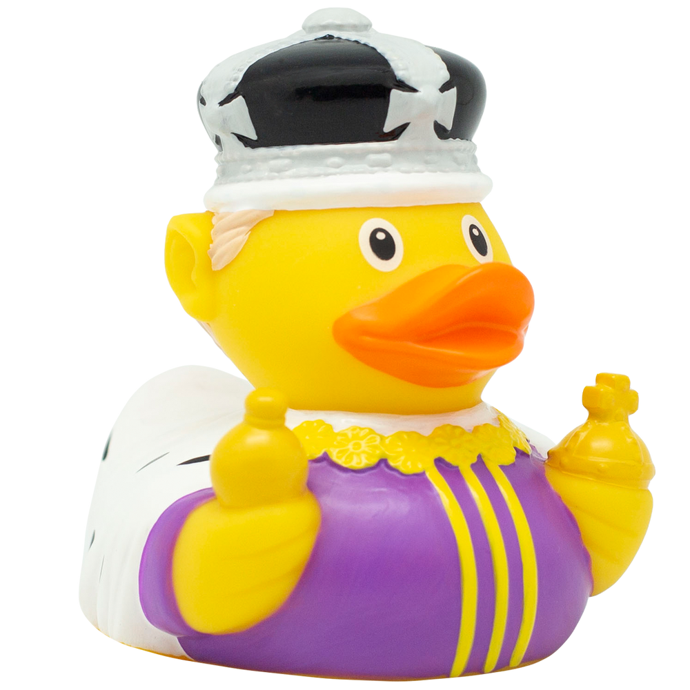 Canard Roi C.