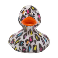 Pato Leopardo Selvagem