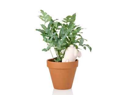 Arroseur Autonome Lapin