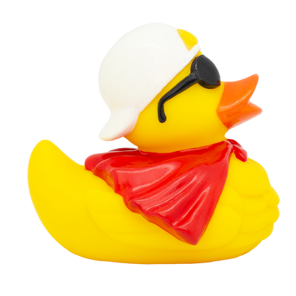 Canard Super Lilalu - vue 5