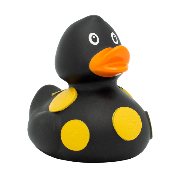 Canard Crypto Lilalu - vue 5