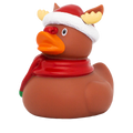 Duck Christmas Moose