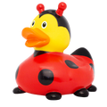 Duck Ladybug New Version