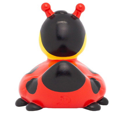 Canard Coccinelle Nouvelle Version Lilalu - vue 4