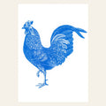 Blue Rooster Postcard