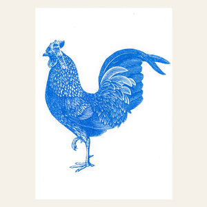 Carte postale Coq Bleu