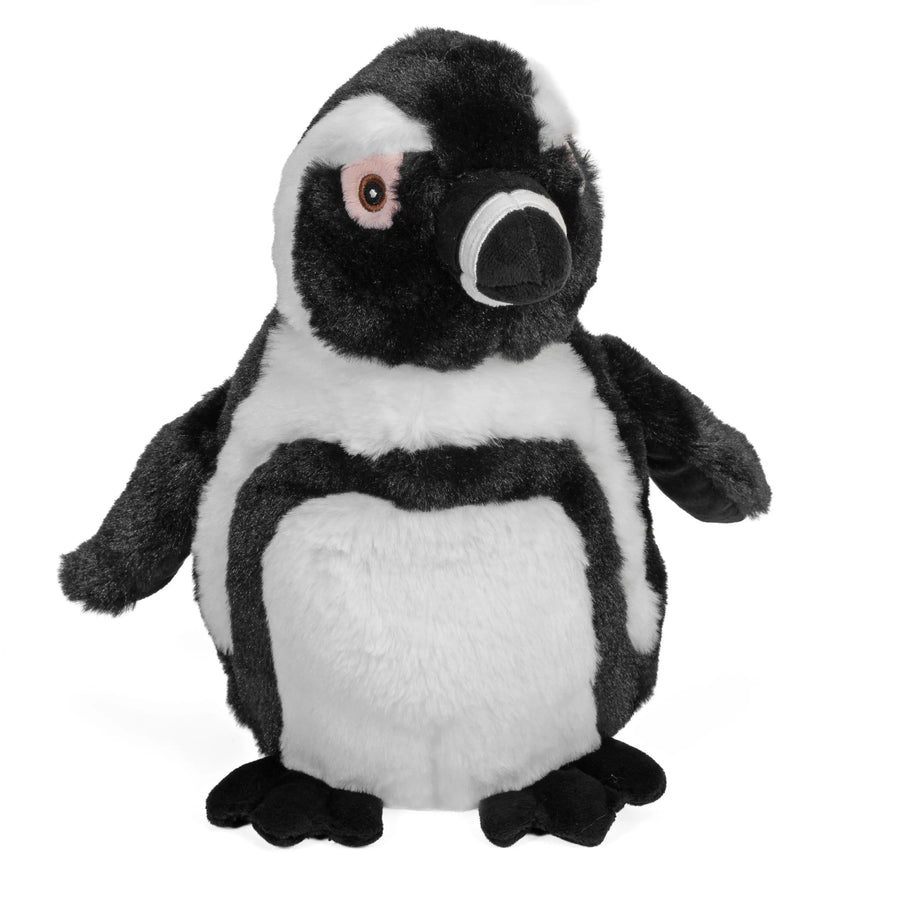 Brillenpinguin
