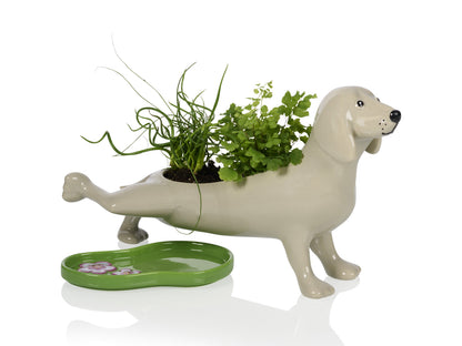 Peeing Dog Planter