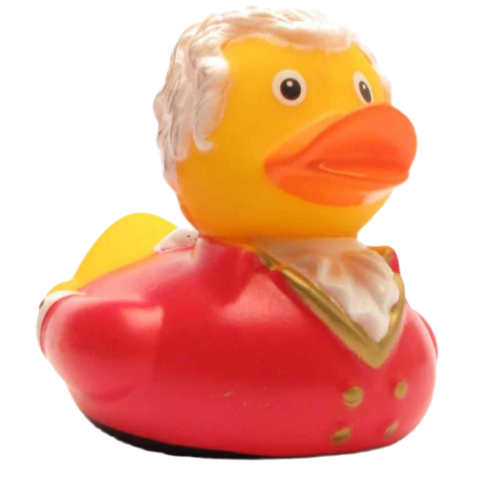 Canard Wolfgang Amadeus Mozart – vue produit 2