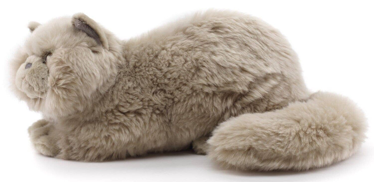 Peluche Chat Persan Gris