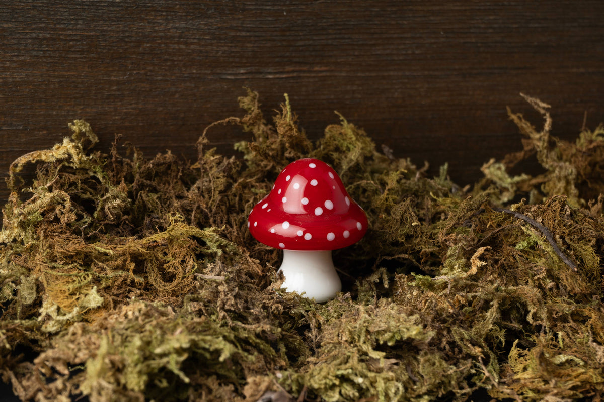 Décoration en Verre Champignon