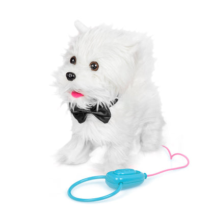 ANIMIGOS PROMENANT UN CHIEN WESTIE