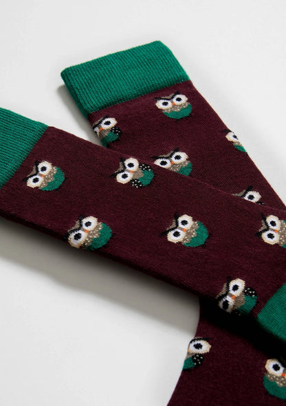 Chaussettes BeOwl