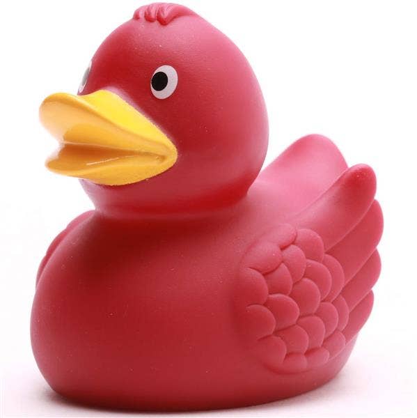 Anatra con ali Bordeaux