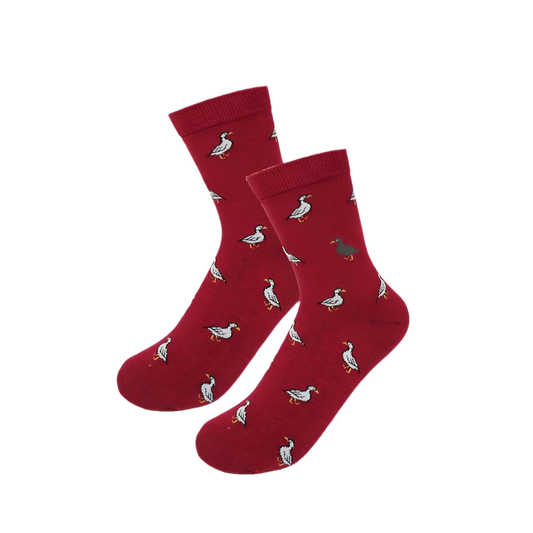 Chaussettes Canards Blancs