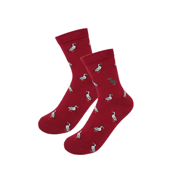 Chaussettes Canards Blancs