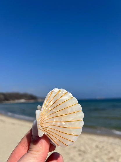Pince à cheveux Coquillage Perle