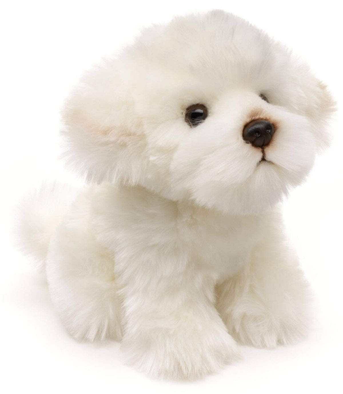 Peluche Chien Maltais