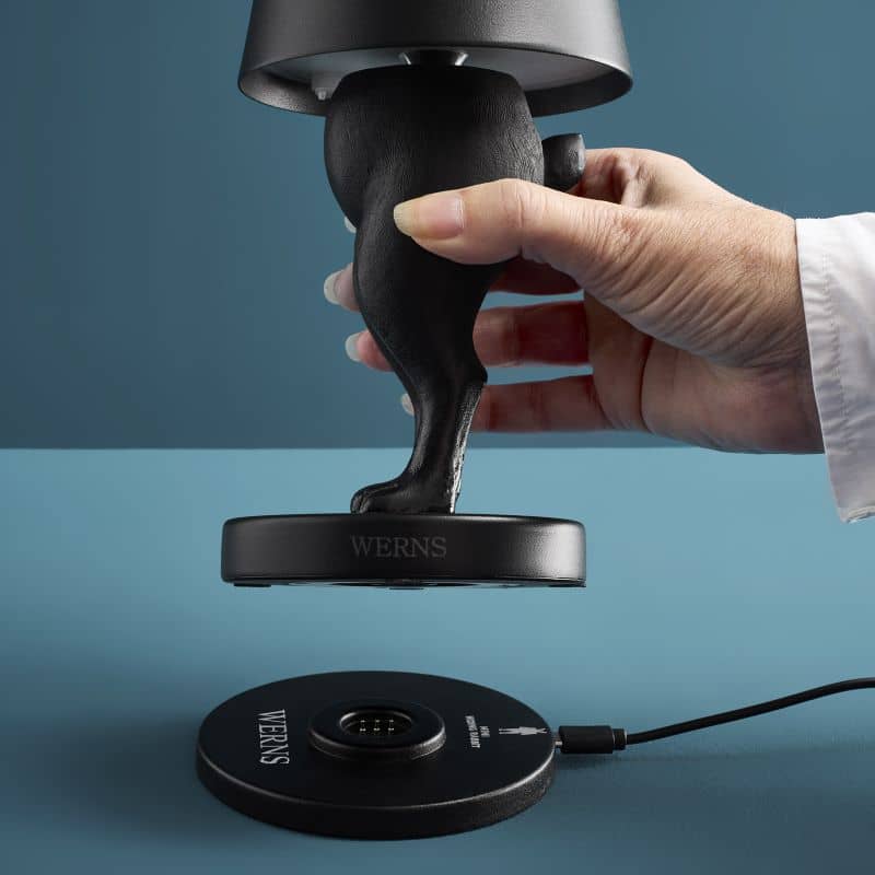 Lámpara de mesa LED con forma de conejo escondido, color negro