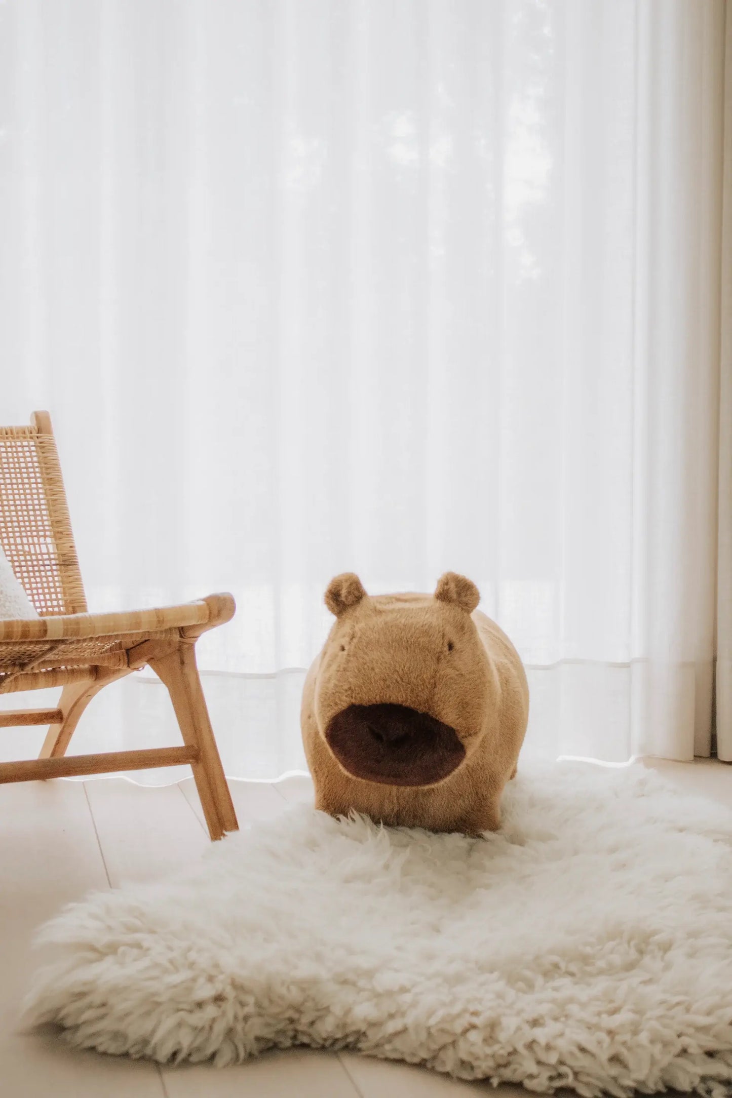 Capybara douce et rebondissante