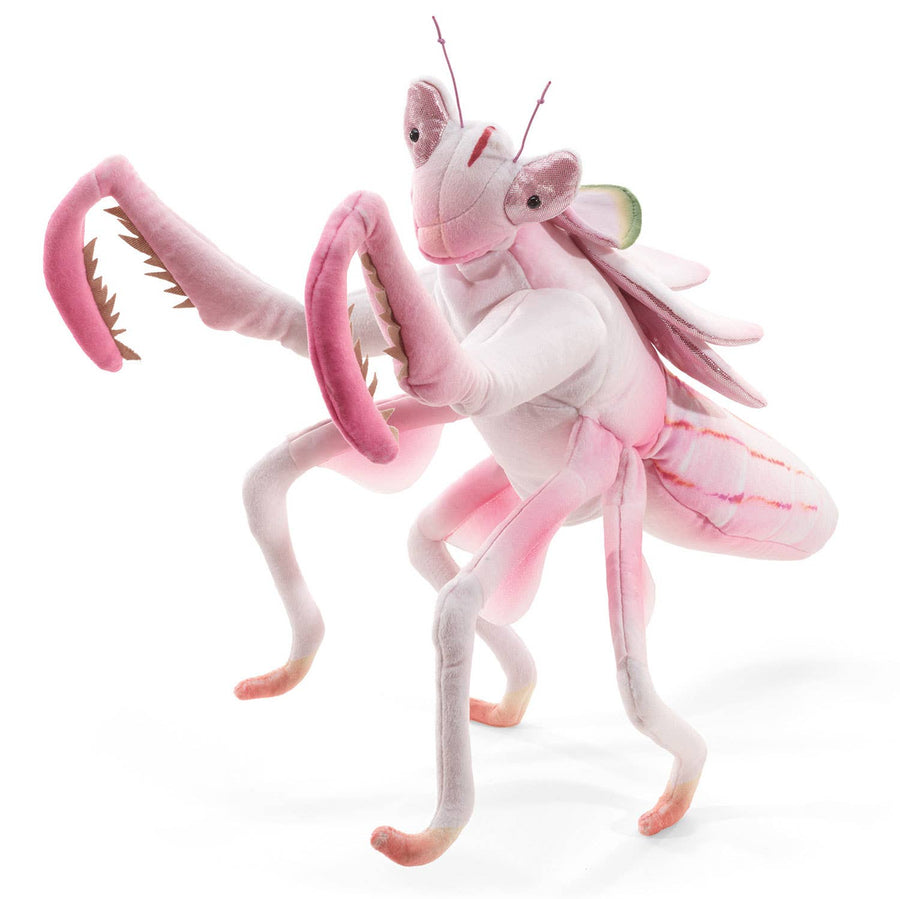 Orchideenmantis