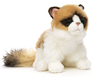 Chat Ragdoll - 35 cm (longueur) - peluche