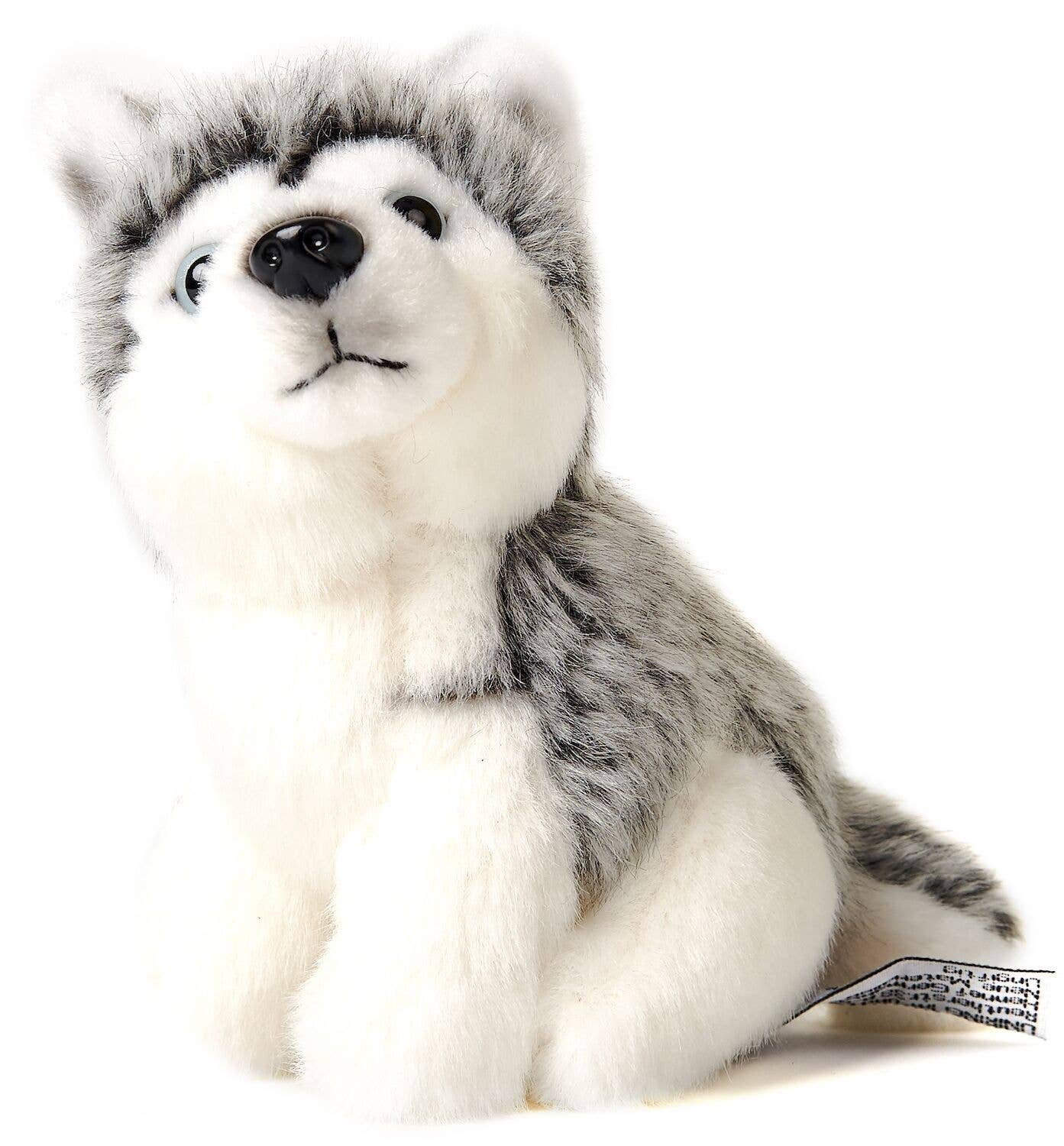 Peluche de husky, sentado