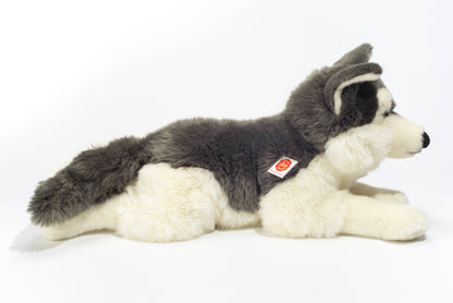 Gran husky de peluche acostado