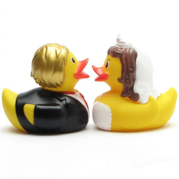 アヒル、夫婦
