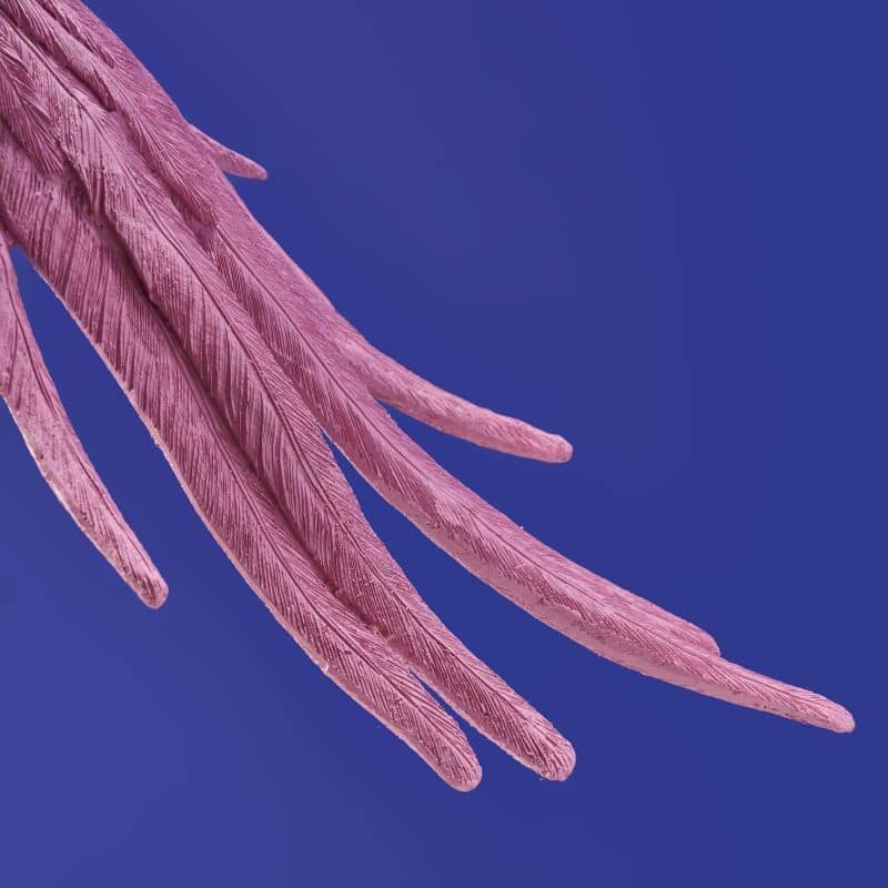 Candeeiro de teto em formato de papagaio cor-de-rosa