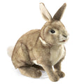 Marionnette à Main Lapin d'Amérique