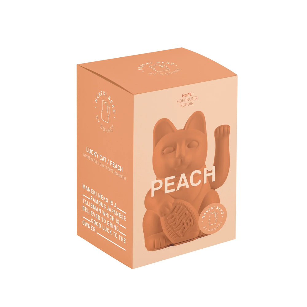 Gatto Chanceux Pêche