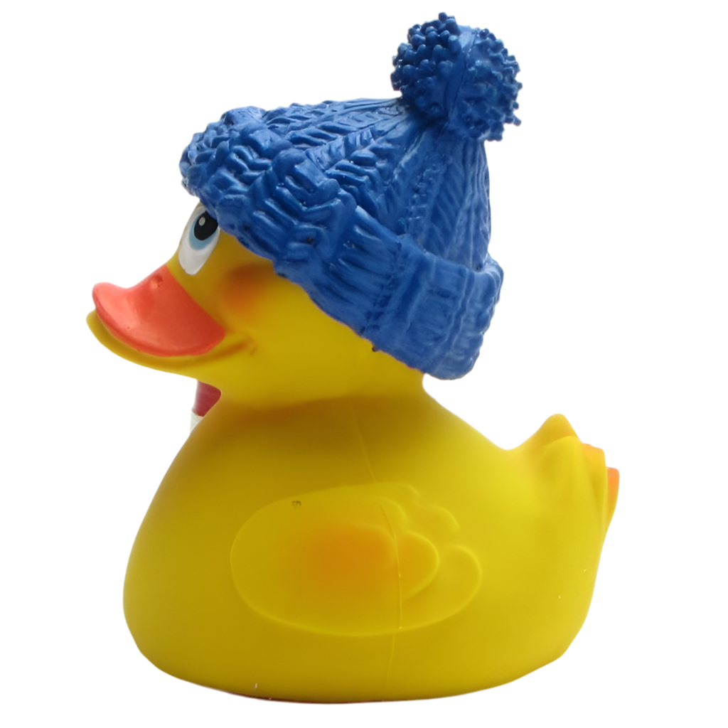 Pato guardián del faro