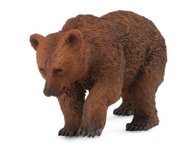 Urso castanho - (S)