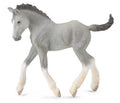 Figurine Poulain Shire Horse Gris - (M)