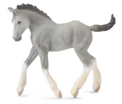 Collecta Chevaux (M): SHIRE HORSE POULAIN GRIS 10,2x3,5x9,5cm