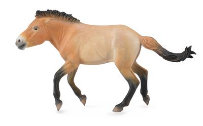 Przewalski Stallion - (XL)