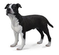 Figura Staffordshire Américain Terrier - (L)