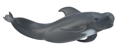 Collecta Animaux marins (L): BALEINE-PILOTE 19.2x5.4cm
