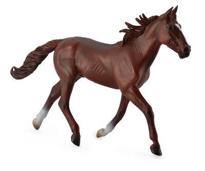 Stallone Standardbred - (XL)