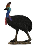Figure Casuariidae - (L)
