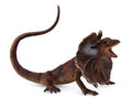 フィギュア Lézard à Collerette - (L)