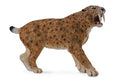 Figuur Smilodon - (XL)